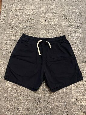 Zanerobe Navy Blue Men Shorts Flat Front